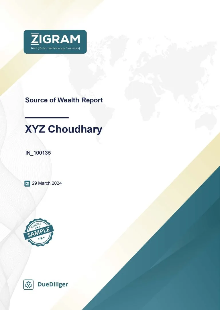 Source of Wealth Report