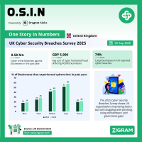 Cyber Security Survey Report 2025