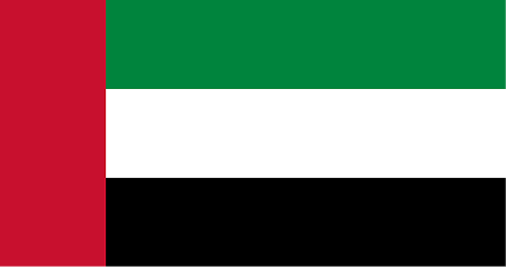 UAE flag